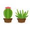 Desert banner set, green cactus world. Flat cartoon style.prickly, funny cactus.