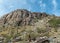 Desert beauty, Phoenix Mountains Preserve