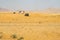 Desert Bedouin camp in Jordan