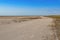 Desert in the Black Sea Biosphere Reserve near Zaliznyi Port Kherson Oblast, Ukraine