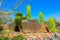Desert Botanical Garden Phoenix Arizona Desert Cactus Entrance