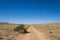 Desert Brush Alongside Dirt Road