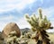 Desert buttes in Scottsdale, Arizona