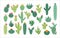 Desert cacti flowers. Cute mexico summer cactus set, plant stickers, mexican garden, exotic houseplants. Scrapbook