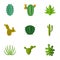 Desert cactus icons set, cartoon style