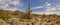 Desert cactus and mountains landscape