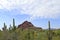 Desert and cactus picture with sun shining, with large rock hill.