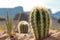Desert Cactus with Rocky Mountains