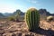 Desert Cactus with Rocky Mountains