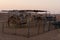 Desert camel camp