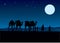 Desert camels caravan
