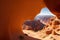 Desert canyons Incorporate a foreground element made with generative ai