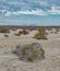 Desert coast of San Ignacio Lagoon