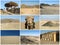 Desert collage