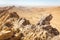 Desert crater mountain ridge cliffs landscape view, Israel nature.