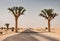 Desert with Date trees