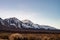 Desert dirt road lined with plants and wildflowers snowy Sierra Nevada mountain range