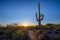 Desert Discovery Nature Trail sunset near Tuscon Arizona