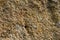 Desert dried and cracked ground. erosion earth background. cracked dry wall surface. white natural cracked texture. desert