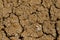 Desert dried and cracked ground. erosion earth background. cracked dry wall surface. white natural cracked texture. desert