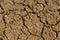 Desert dried and cracked ground. erosion earth background. cracked dry wall surface. white natural cracked texture. desert