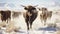 Desert Drifters. Herding Cows Amidst Winter\\\'s Frosty Dance. Generative AI