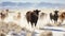 Desert Drifters. Herding Cows Amidst Winter\\\'s Frosty Dance. Generative AI