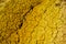 Desert dry yellow soil texture