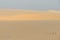 A desert of dunes