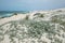 Desert dunes in De hoop nature reserve