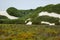 Desert dunes in De hoop nature reserve