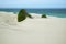 Desert dunes in De hoop nature reserve