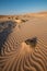 Desert dunes lines and curves Qatar Dubai middle east