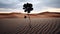 Desert Enigma: A Singular Black Blossom Amid Vast Arid Wasteland