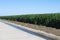 Desert Farming Agriculture Irrigation Canal