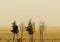 Desert fence and dust in the sky