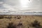 Desert field landscape and cloudy sky