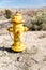 Desert Fire Hydrant