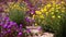 Desert Flowers Wind 5 Joshua Tree National Park California