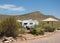 Desert foliage blooming at a southwestern campground