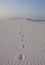 Desert with footprints going away.Socotra island