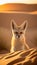 Desert fox portrait illustration