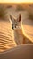 Desert fox portrait illustration