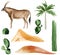 Desert, gazelle, palm, cacti and dunes watercolor set