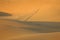 Desert Golden Morning Landscape.Use for website / banner background, backdrop