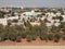 Desert greenery view from Al Ain UAE