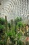 Desert Greenhouse Chenshan Botanical Garden