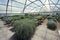 Desert greenhouse experiment at the University of Arizona Environmental Research Laboratory in Tucson, AZ