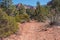 Desert Hiking Trail with Red Cliffs