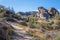 Desert Hiking Trail with Wild flowers & Boulders